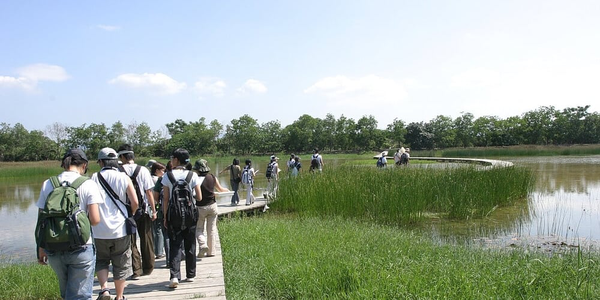 Mai Po Nature Reserve Tour with WWF